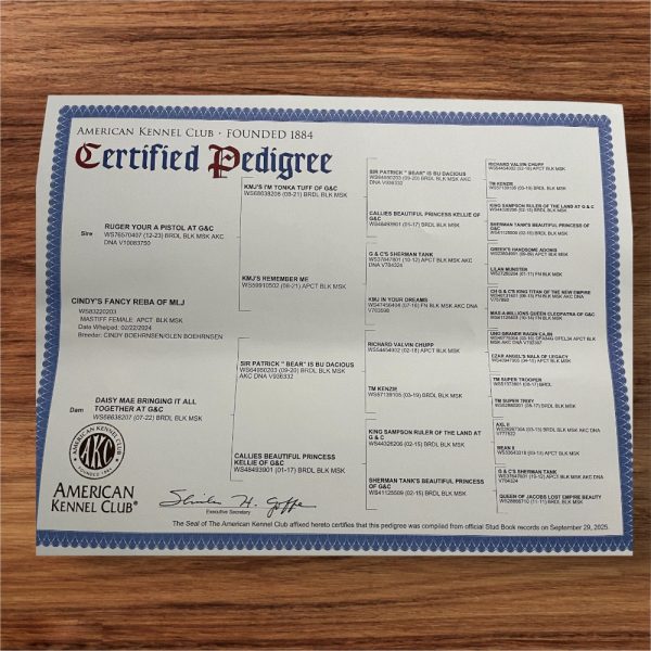 Photoroom_20260105_135033