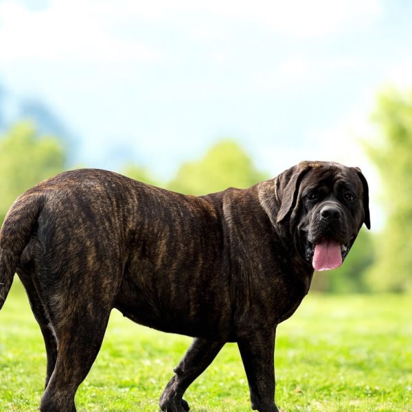 Photoroom_20260105_140125