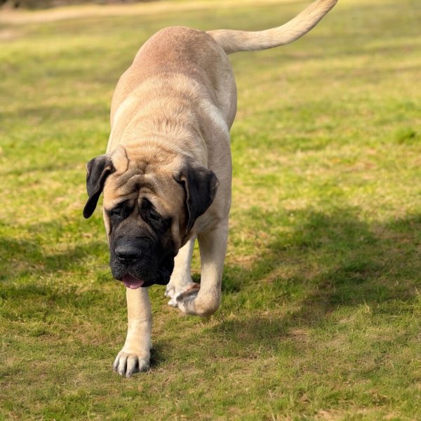 Photoroom_20260105_150409