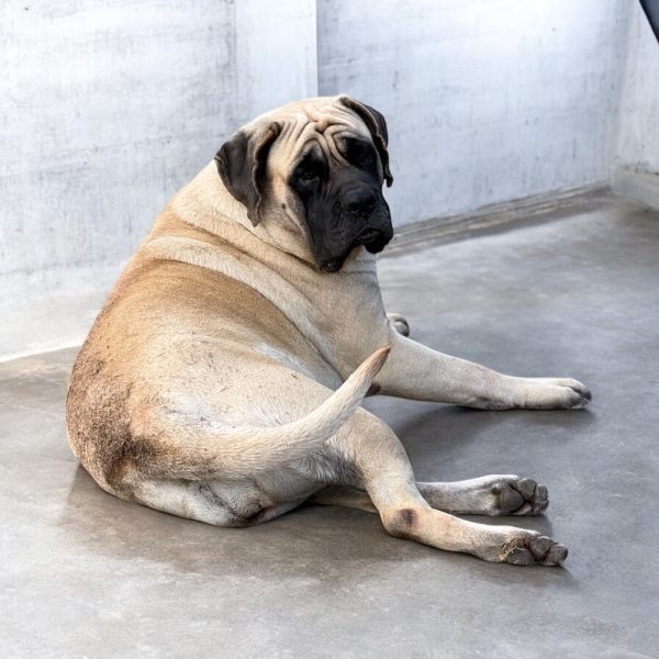 Photoroom_20260105_151201