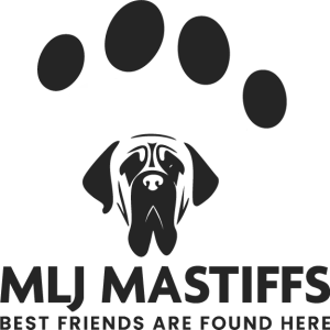 mlj_inverse-logo